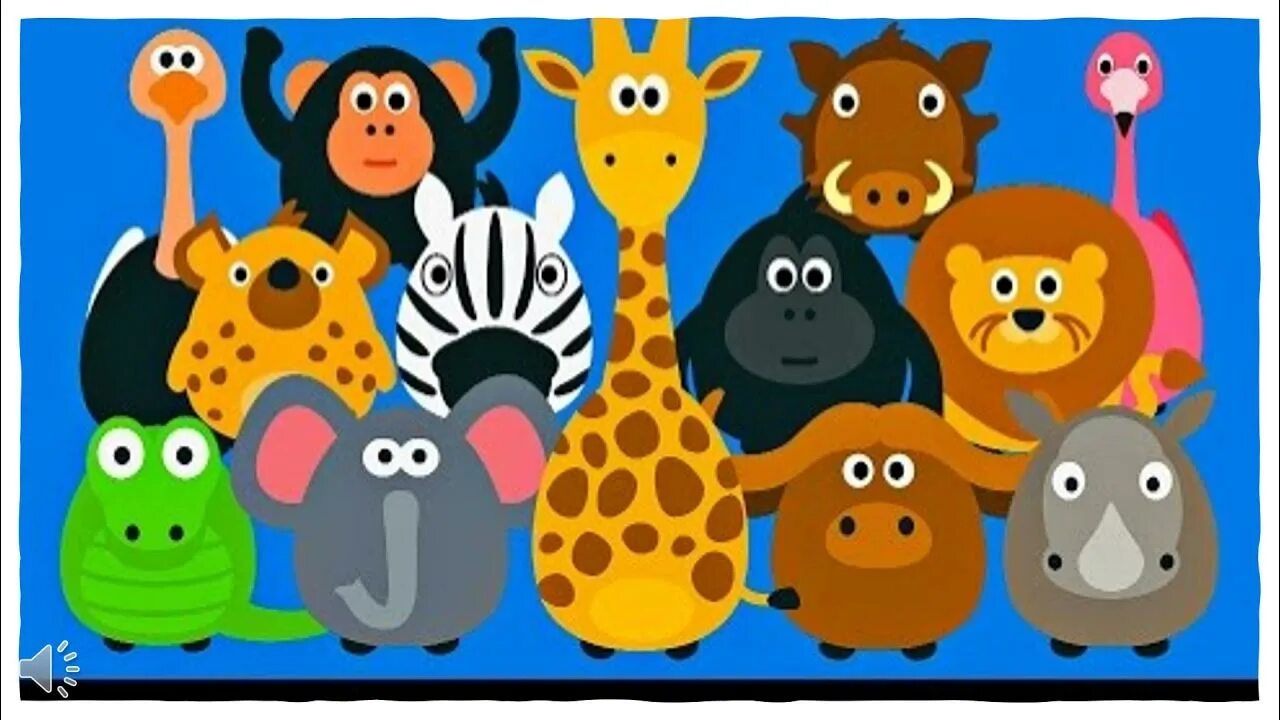 More animal colors. More animal colors