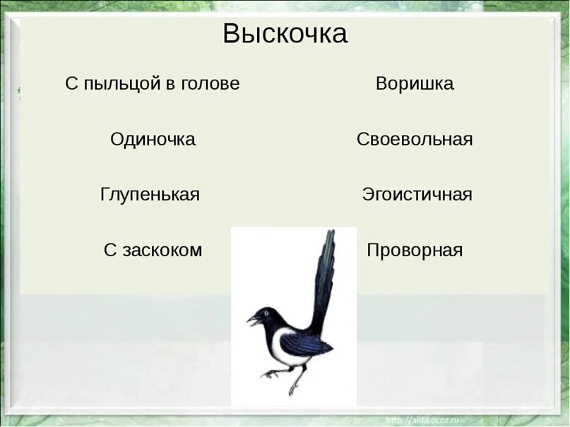 М м пришвин выскочка написать отзыв. Синквейн выскочка. Выскочка сорока. Характеристику Высочки. Характеристика выскочки.