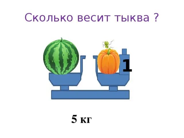 Сколько весит тыква. Масса тыквы. Сколько весит одна тыква. Сколько весит тыква задача. Масса тыквы а дыни