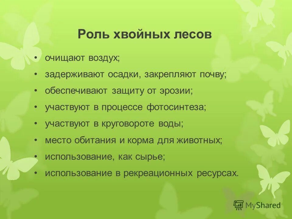 Роль хвойных