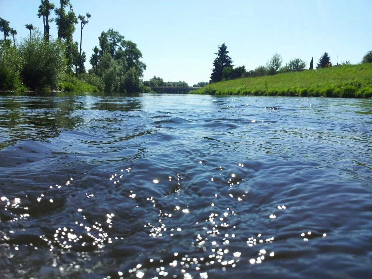 Река Вонча в Марий Эл. Река Вонча. Ивинка река. Река Сурень. Вода в реке бывает