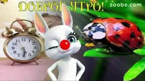 Прикольное видео утро