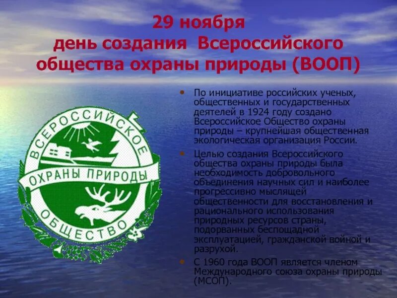 Экологические организацци росси. Экологическое движение зеленые. Международные организации по охране экологии. Экологические организации для детей. Экологические организации.