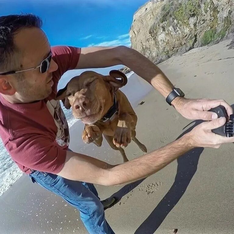 крутые собаки. удачные кадры людей. удачные кадры. забавные стоп кадры. забавные кадры.