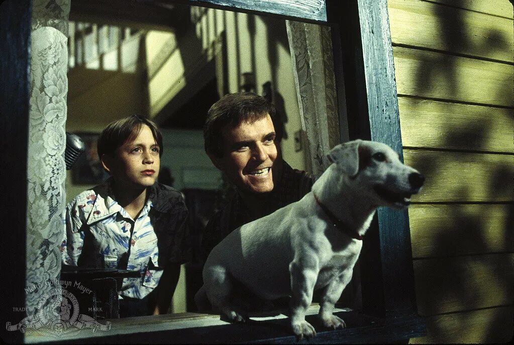 Philips cinema 21 9. годы hdtv. Upload сериал 2020 2 сезон. фильм тайна егора или необыкновенные приключения обыкновенным летом. фильм ещё один год английского.