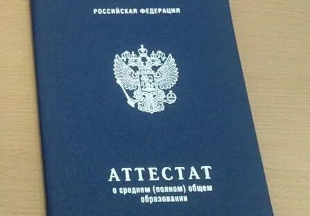 Образование 11