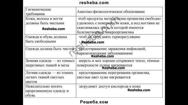 Покрова тела строение и функции кожи таблица