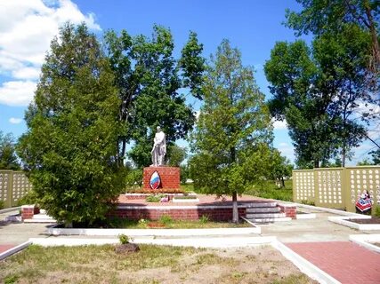 Село борок