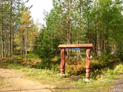 Снт поляна ленинградская область