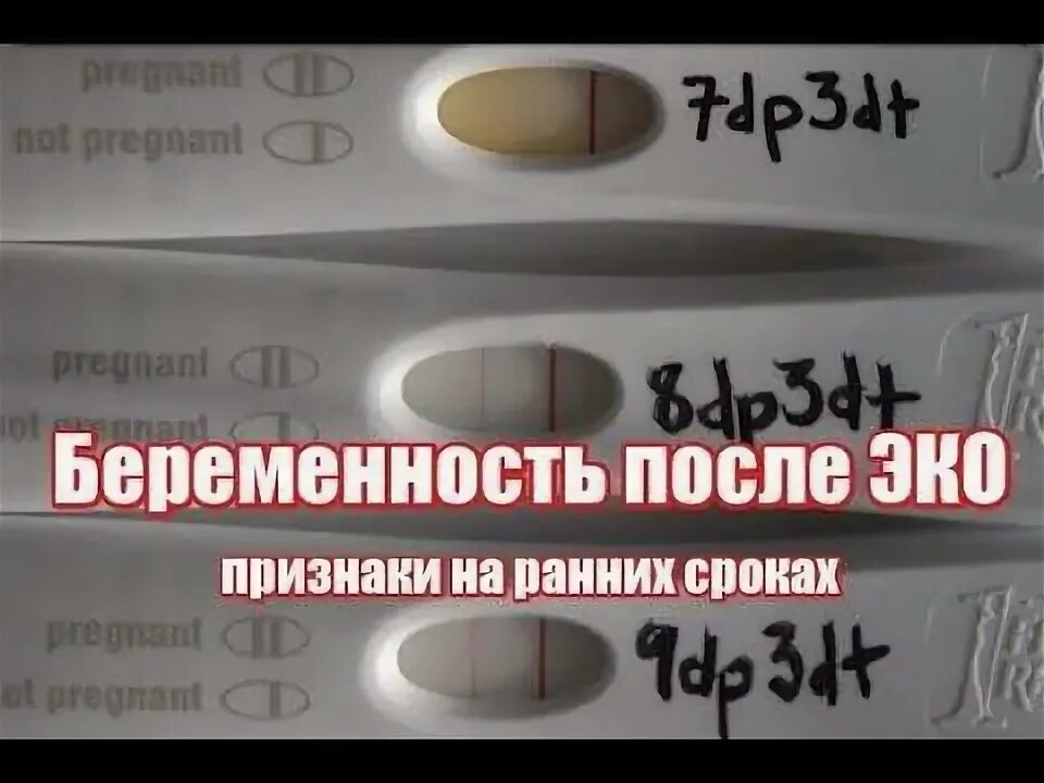 Почему неудачное эко. Тесты на беременность на ранних сроках эко. тесты на беременность на ранних после эко. тест на беременность на ранних сроках после эко. тесты после переноса.