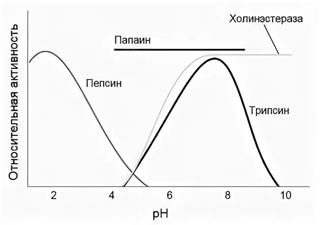 Трипсин Оптимум PH. PH трипсина. График зависимости пепсина от PH. PH среда для трипсина.