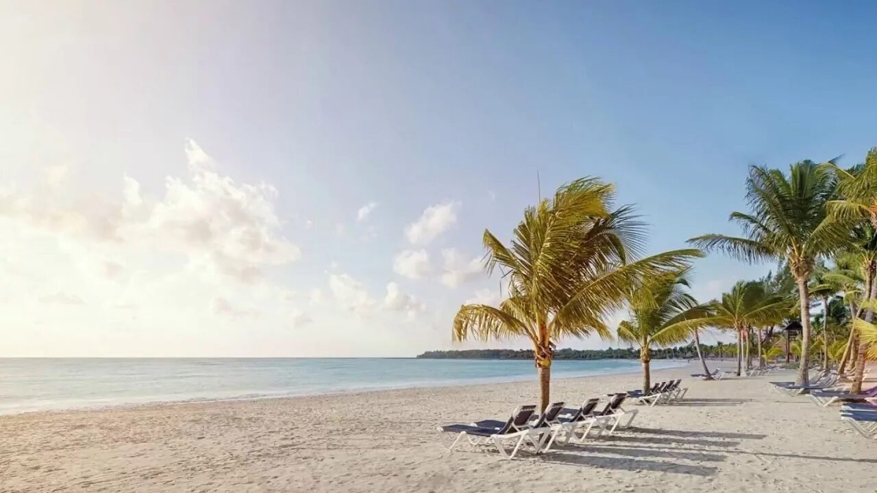 Maya Beach. АО Майя пляж. Mexican Tropical.