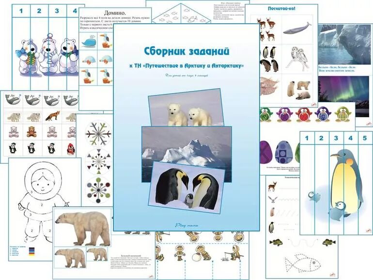 Задания животные севера. Задания на тему арктика. задания на тему животные севера для дошкольников. животные арктики задания для детей. задания на тему антарктида для детей.