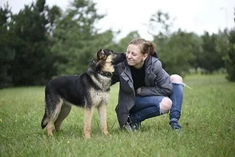 Рассказ собака девушку