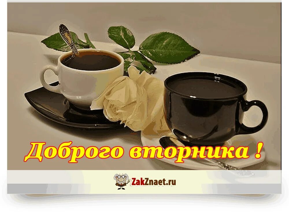 Доброго вторника. Доброго вторника