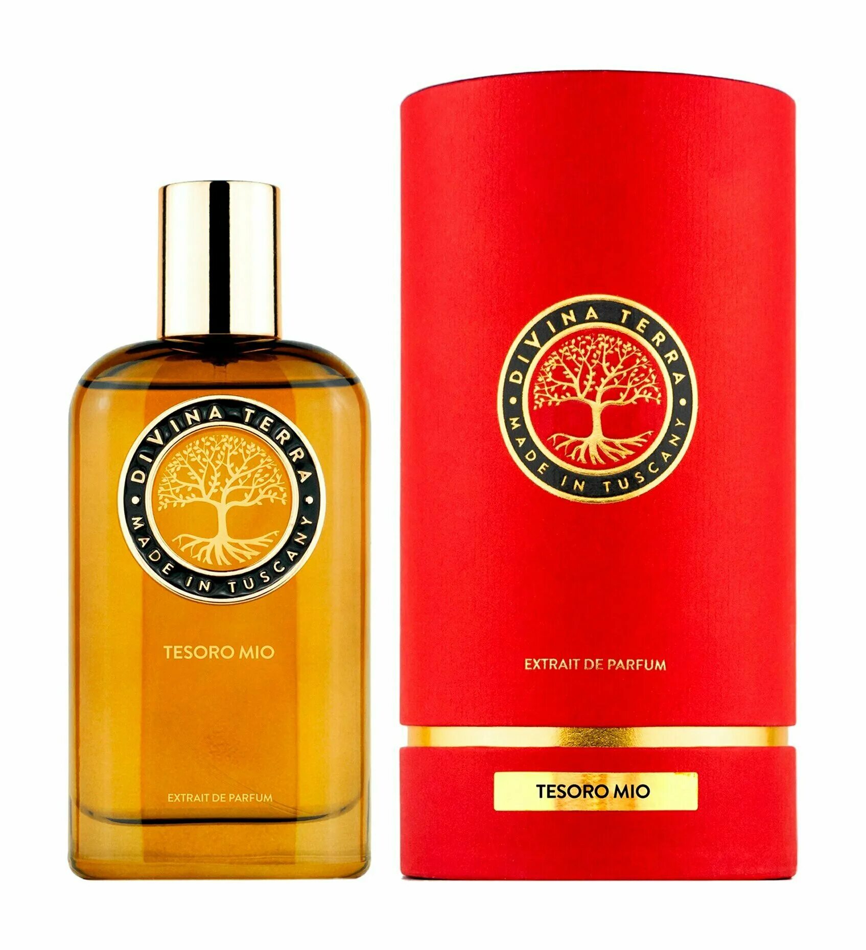 дивина терра духи. духи in amore divina terra. Divina terra fioraie духи. духи дивина терра рив гош. Divina terra парфюм vita.