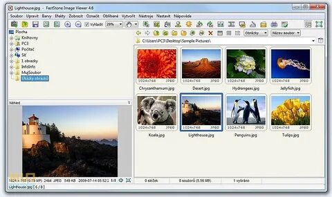 Faststone image portable