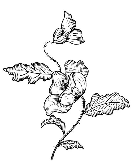 Рисунки для вышивки. Эскизы гладью. Вышивка цветов гладью. Эскизы гладью. Эскизы гладью.