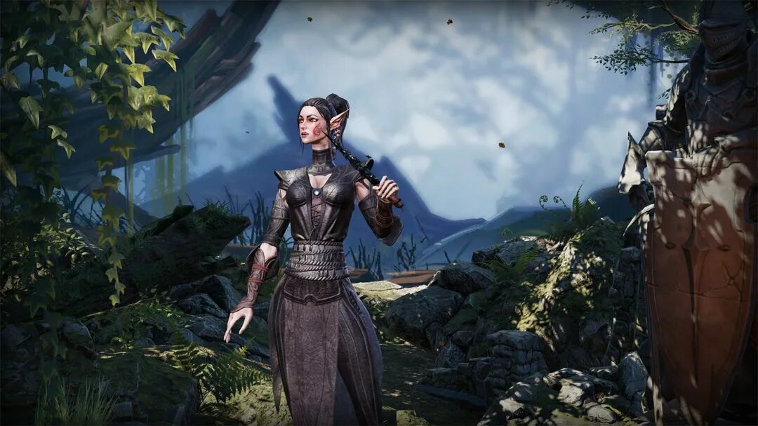 Divinity эльфы. Сибилла divinity original sin 2. дивинити 2 броня себилла. divinity original sin 2 сибилла 18. divinity original sin 2 сибилла арт.