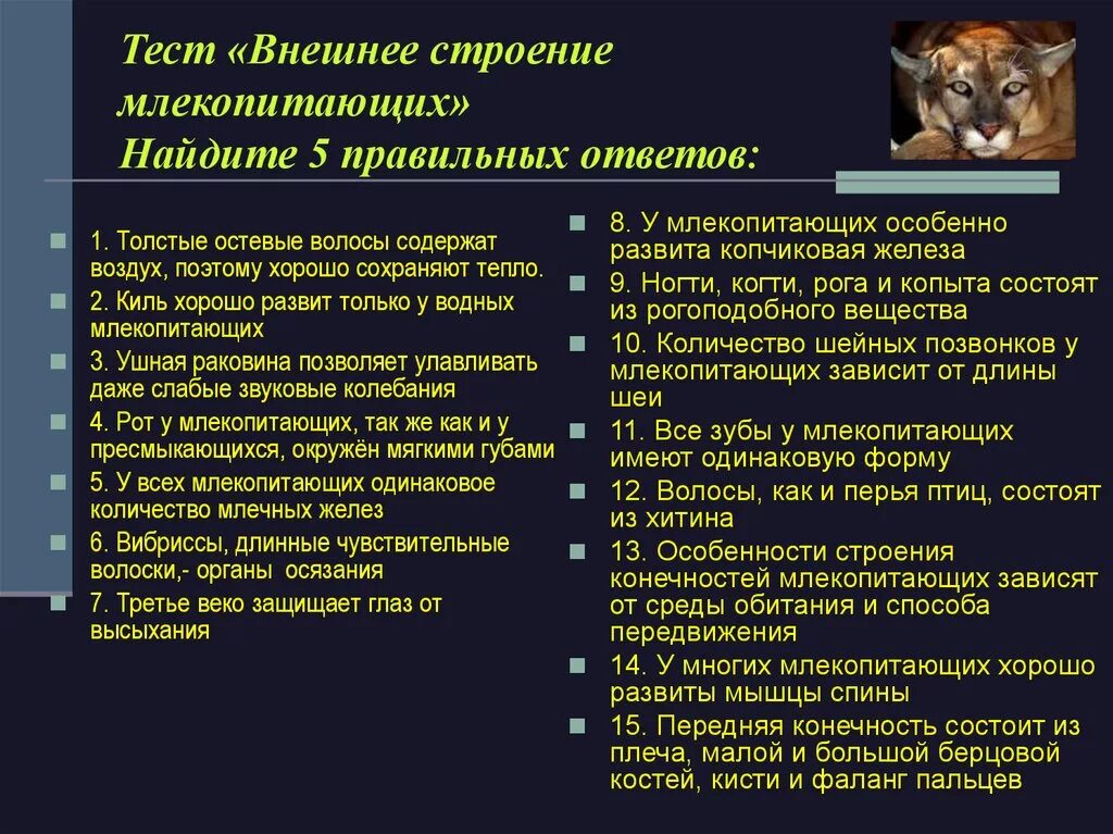 Тест по теме млекопитающие 8. Внешнее строение млекопитающих. Строение внешнего строения млекопитающего. Признаки внешнего строения млекопитающих. Внешнее строение млекопитающих млекопитающих строение.