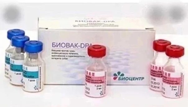 Вакцина против болезни ньюкасла птиц. Вакцина для собак биовак pal. Биовак вакцина для собак. Биовак вакцина инструкция. Биовак вакцина для собак производитель.