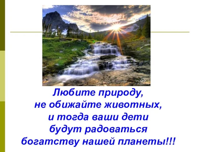 Что по вашему любить природу. Любите природу. Не обижайте природу. Любите природу картинки. Зачем любить природу.