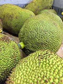 Mysterious fruit