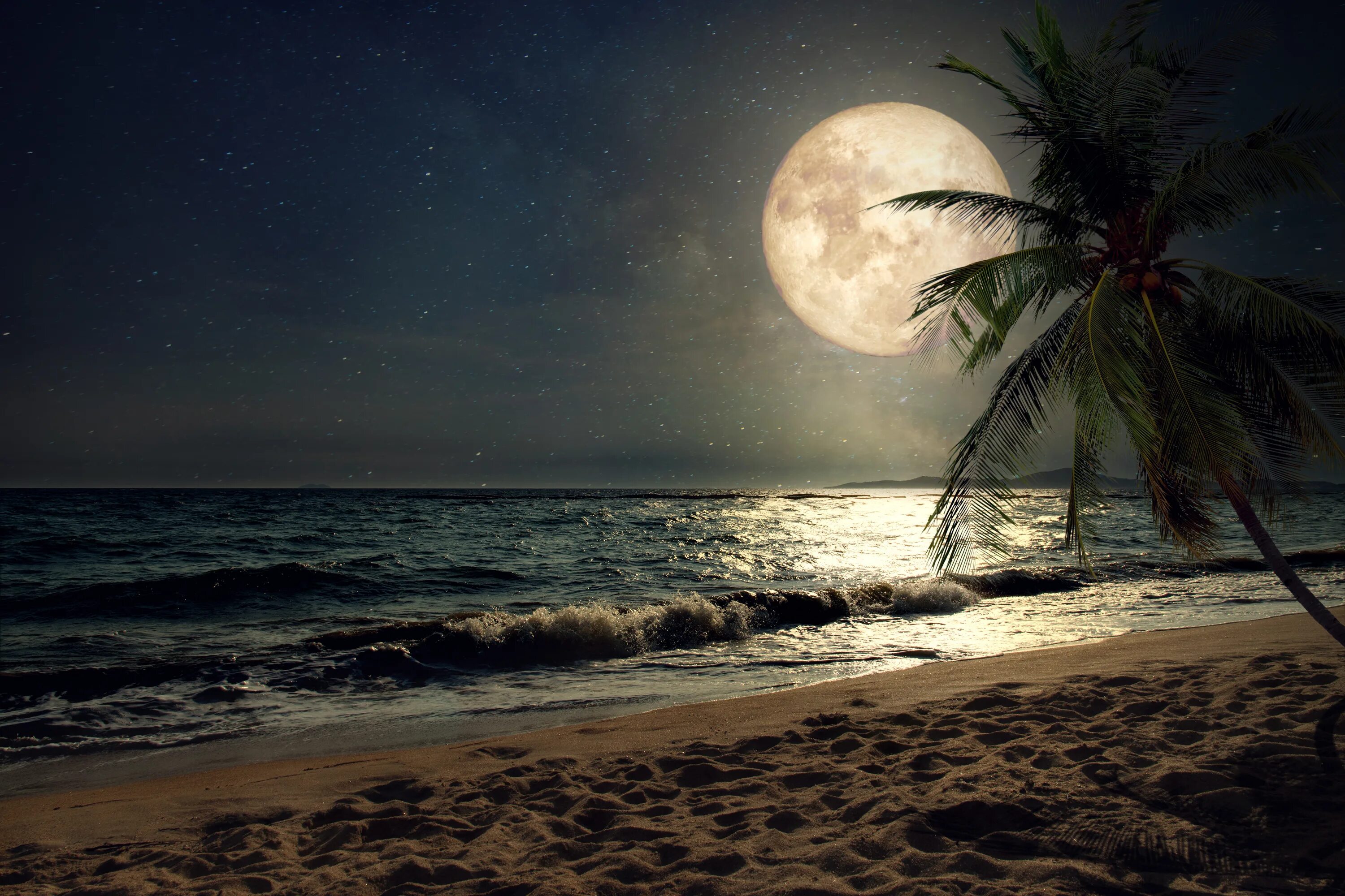 Ночь у береша. Пляж ночью. Ночь в море. Луна. Лунный пейзаж.