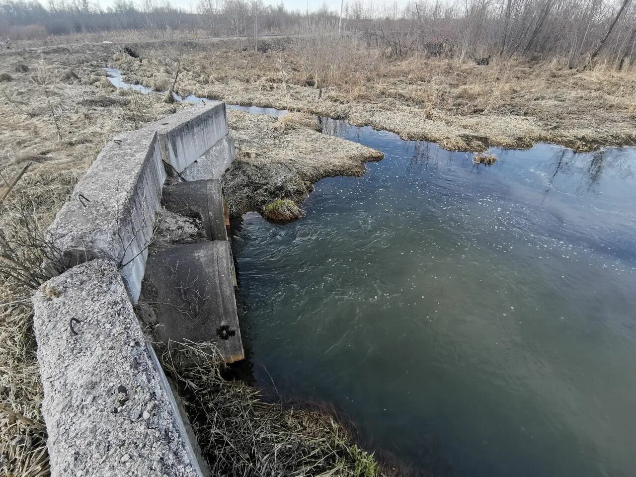 Вода в реке кола. Загрязнение москвы реки. переправа из жб труб в речке. 3 трубы из которых льется вода жуткие.