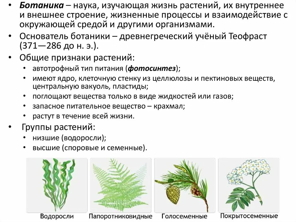 Значение в области какой ботанической. Ботаника это наука. Ботаника это наука изучающая. Ботаника разделы биологии. Доклад на тему ботаника.