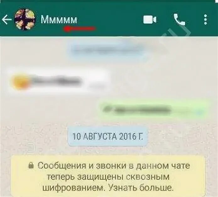 Как узнать что ты заблокирован в ватсапе. Если тебя заблокировали в ватсапе. как понять что тебя заблокировали в ватсап. как выглядит блокировка в ватсапе. если тебя заблокировали в ватсапе как это выглядит.