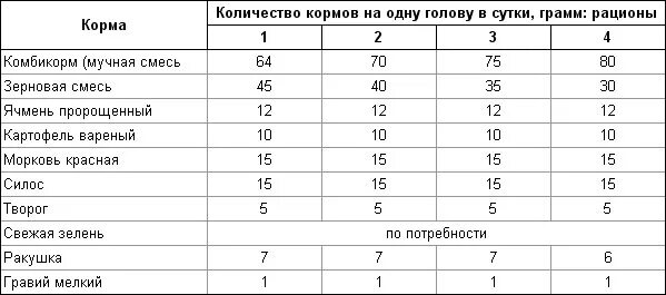 Сколько корма для кур несушек