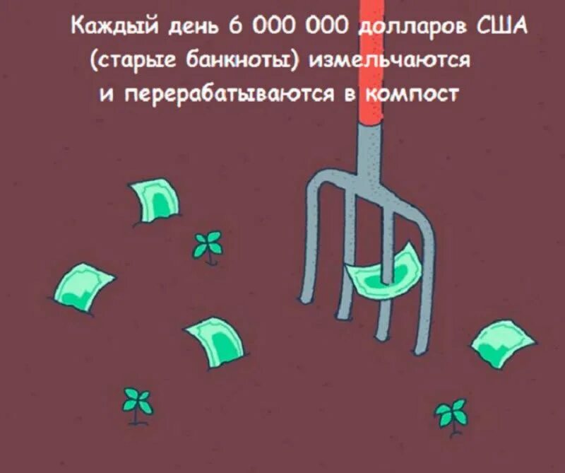 Собирают факты про. Бесполезные факты. бесполезные факты смешные. бесполезные факты обо всем. бесполезные факты в текстах.
