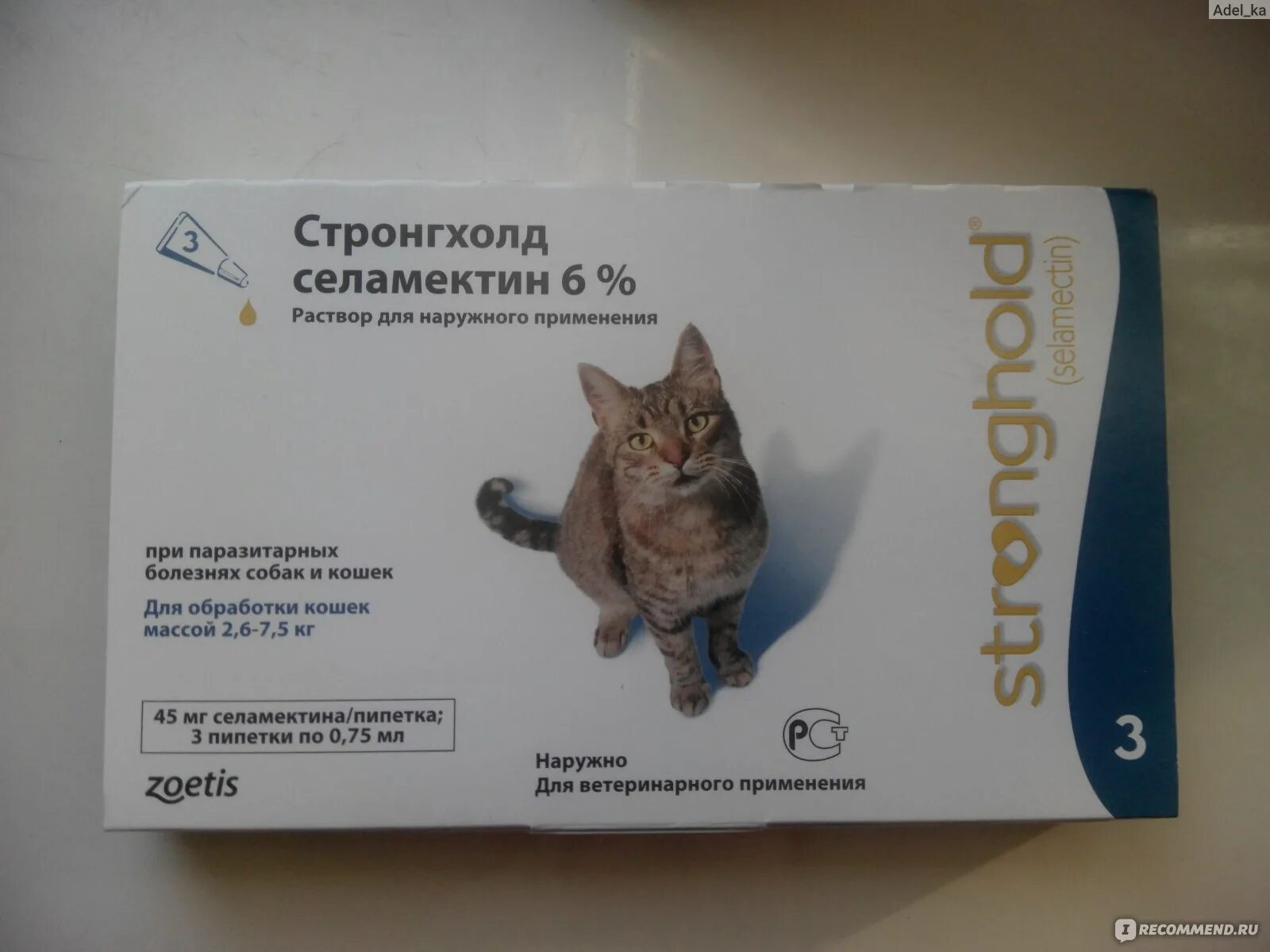 Можно кошке давать таблетки от аллергии