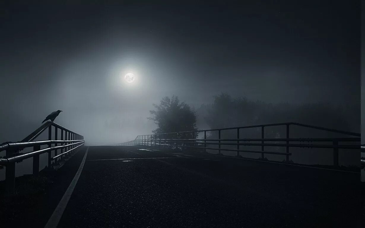 Микко Лагерстедт пейзажи. Финский фотограф Микко Лагерстедт. Ночной пейзаж. Туман ночью. Долгая дорога и луна