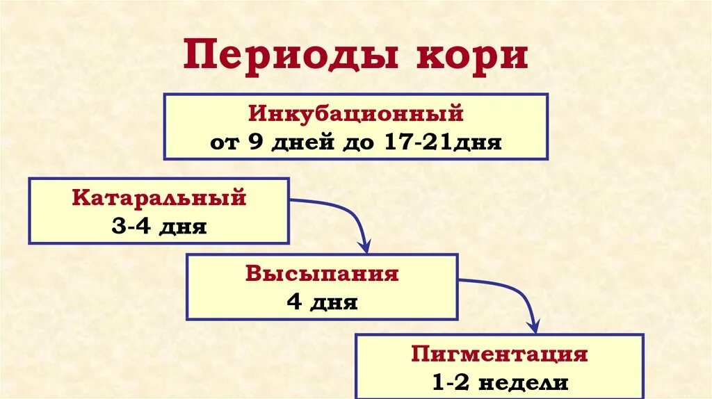 Корь инкубационный период. Периоды кори и их сроки.