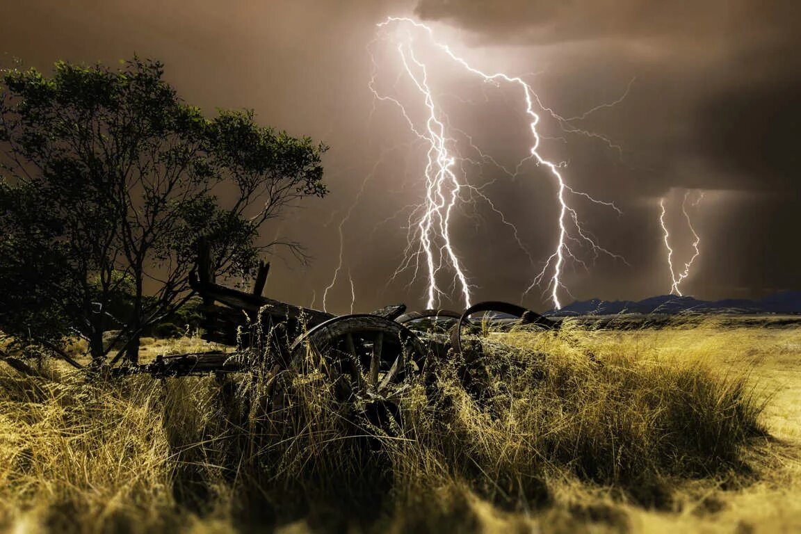 зажгло грозою. воробьев «дуб, раздробленный молнией», 1842. гроза и молния в дерево. максим воробьев дуб раздробленный молнией. шторм молния.