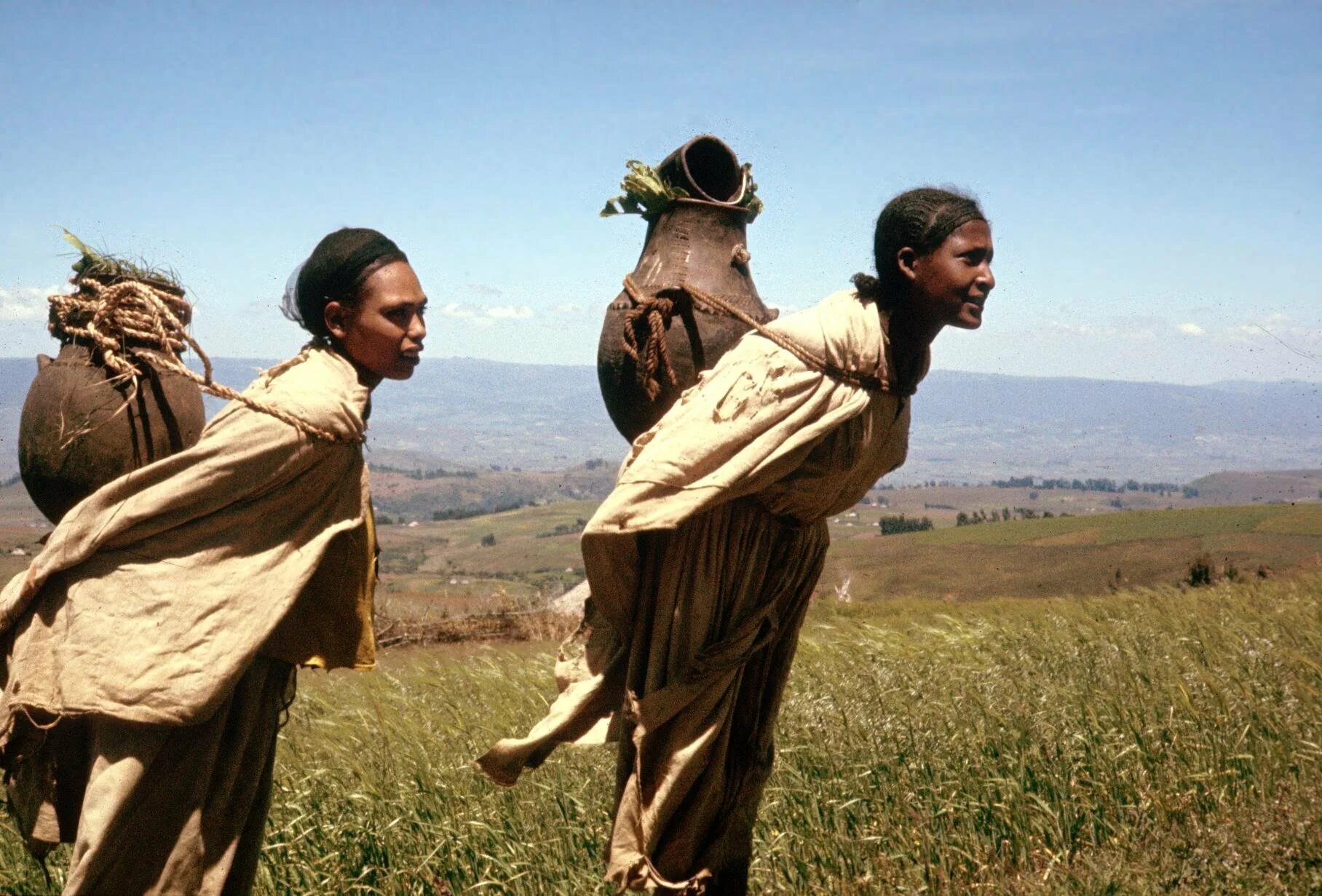 Африканский народ 5 букв сканворд. Оромо народ Африки. Народ оромо в Эфиопии. Племя в Африке оромо. Народ Амхара в Эфиопии.