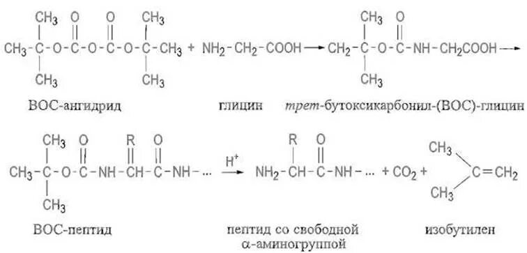 Синтез пептидов. Синтез трипептида. Синтез полипептида. Синтез пептидов химия.