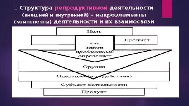 Внешняя структура деятельности. Внешняя и внутренняя деятельность. Структура деятельности (внутренняя и внешняя структура). Строение внутренней и внешней деятельности.