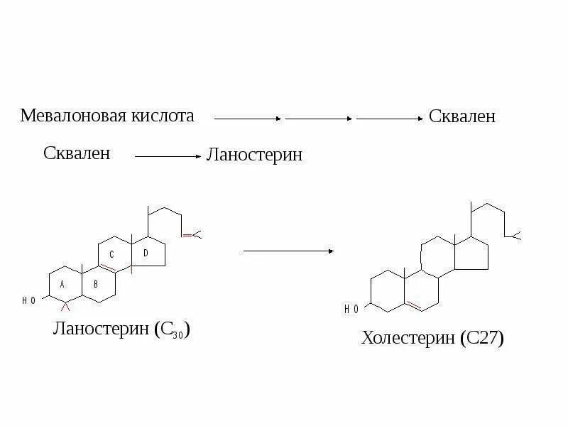 Для чего нужен сквален. Образование стероидов из холестерола схема. Схема синтеза холестерола биохимия. Схема синтеза стероидов. Сквален биохимия.