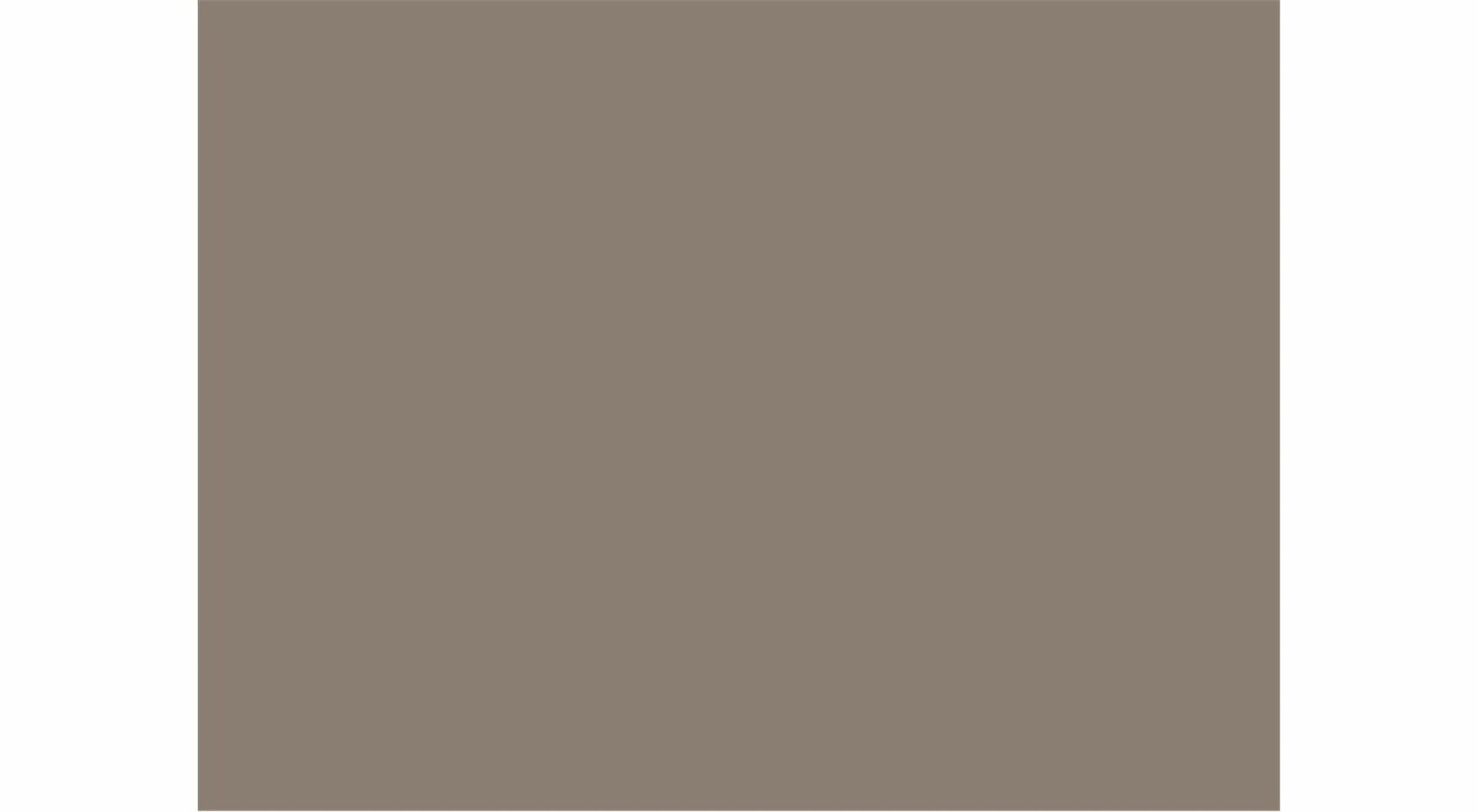 Taupe color