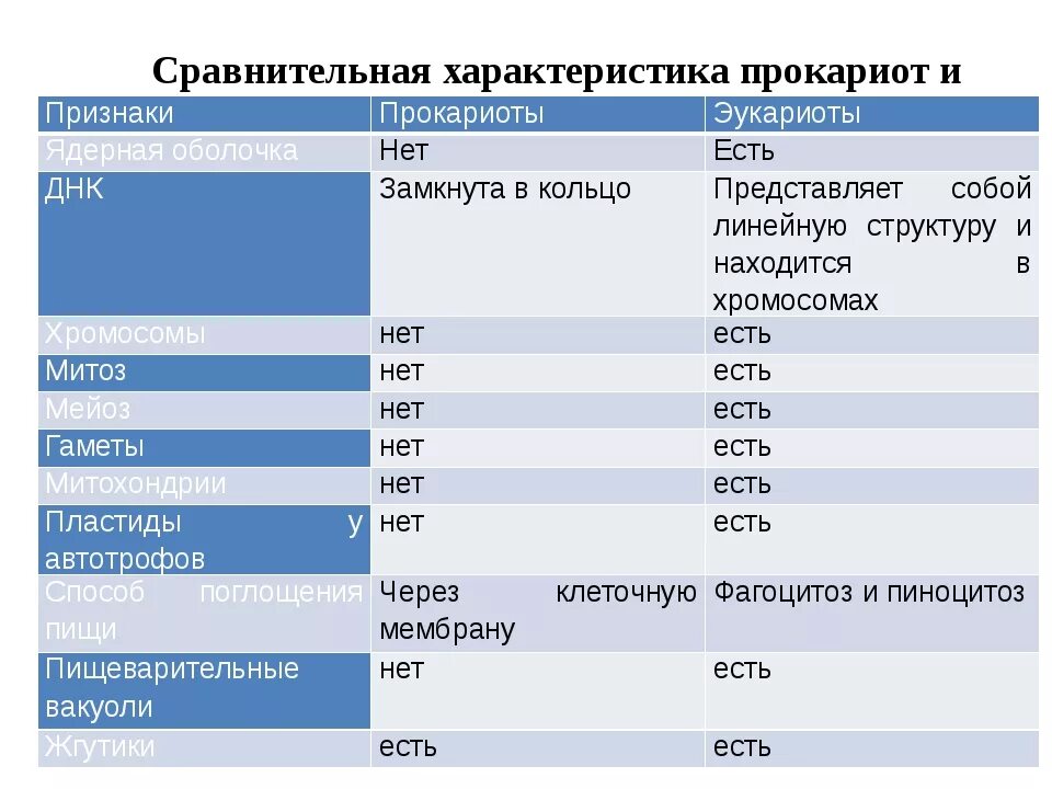 Эукариоты сравнение. Сравнительная характеристика клеток прокариот и эукариот. Сравнение клеток прокариот и эукариот таблица. Сравнение клеток прокариот и эукариот таблица 10 класс. Сравнительная таблица эукариотических и прокариотических клеток.