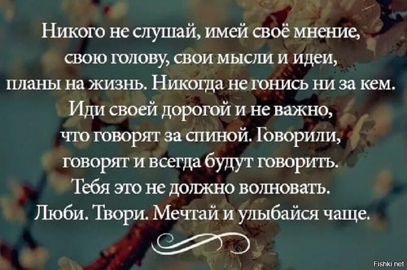 Никто никогда не слышал. Стихи о мыслях. Высказывания про мысли в голове. Стихи о мыслях в голове. Мысли вслух цитаты.