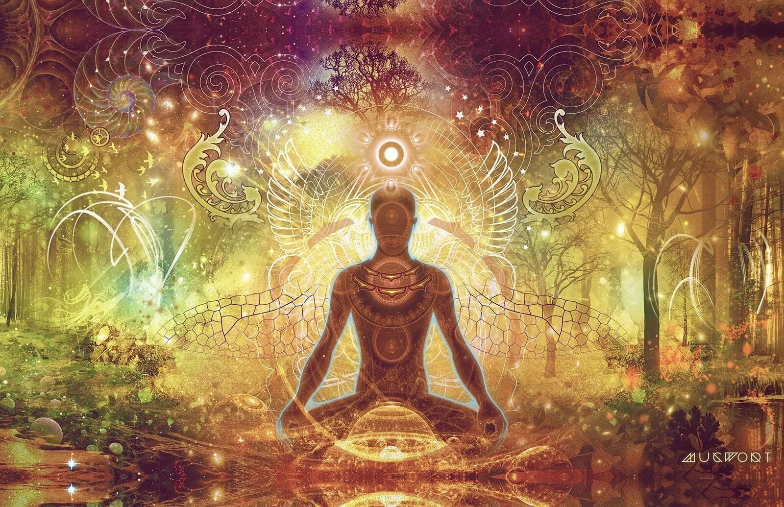 Хроники акаши пробуждение силы. Медитация кутхуми. Духовное пробуждение. Много энергии. Что изучает эзотерика.