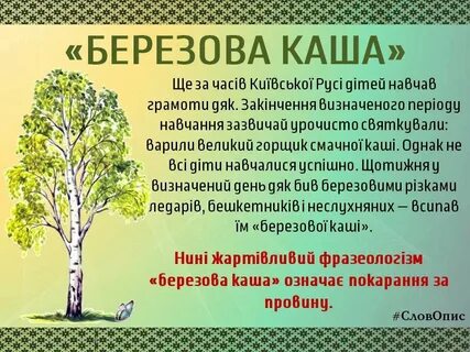 Березовая каша значение