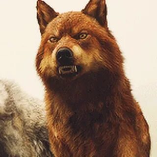 Wolf me