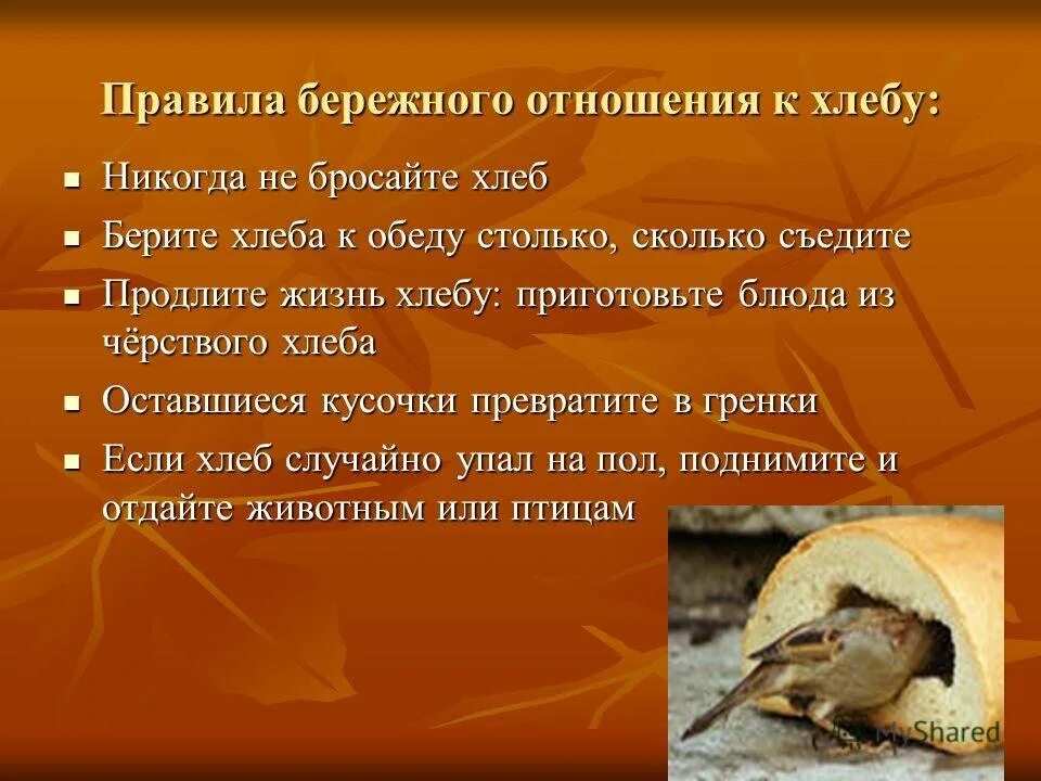 Бережное отношение к хлебу. Памятка бережное отношение к хлебу. Бережное отношение к хлебу. Памятка бережное отношение к хлебу. Бережное отношение к хлебу.