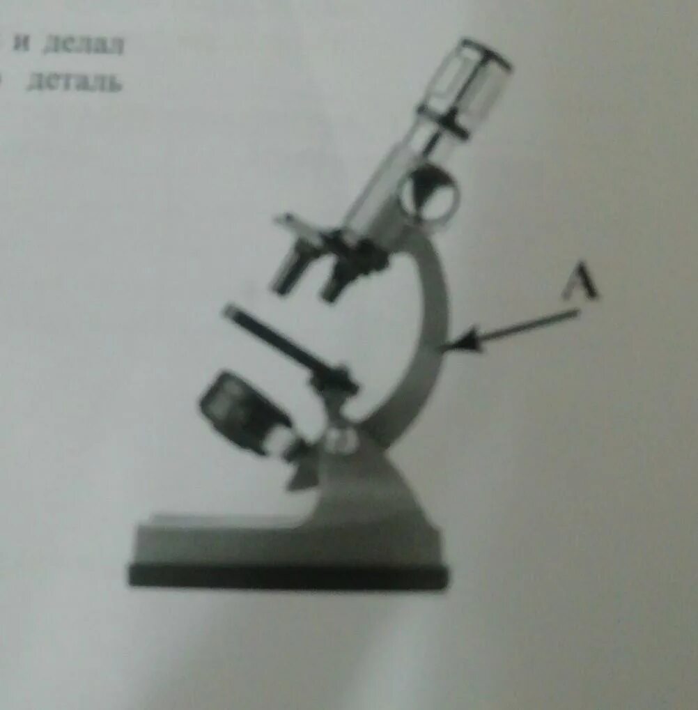 Какая деталь микроскопа обозначена буквой а впр. Деталь микроскопа на букву а. Микроскоп подпись деталей. Деталь цифрового микроскопа под буквой а. Цифровой микроскоп рисунок с подписями.
