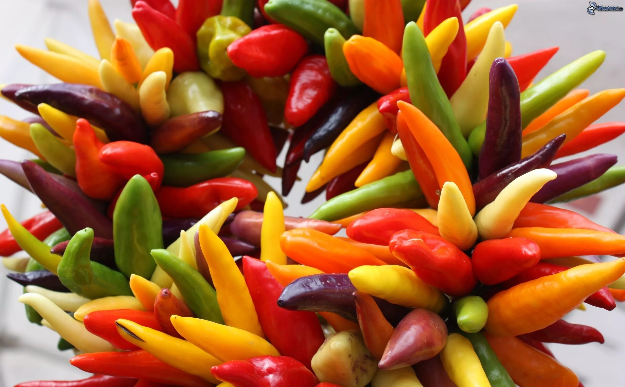 легче из перцев. легче из перцев. букет из нарезанного перца овощей. лечо байбалыына. пряди из перца.